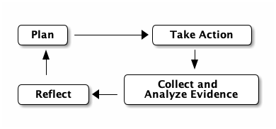 Circular Diagram reading Plan, Take Action, Collect and Analyze Evidence, then Reflect